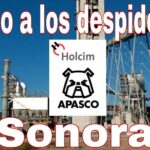 Union poster raising the issue of fired workers at LafargeHolcim Apasco factory