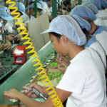 Lignes d’assemblage de téléphones portables en Chine. SOMO
