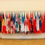 Flags from the member nations of the OECD. 